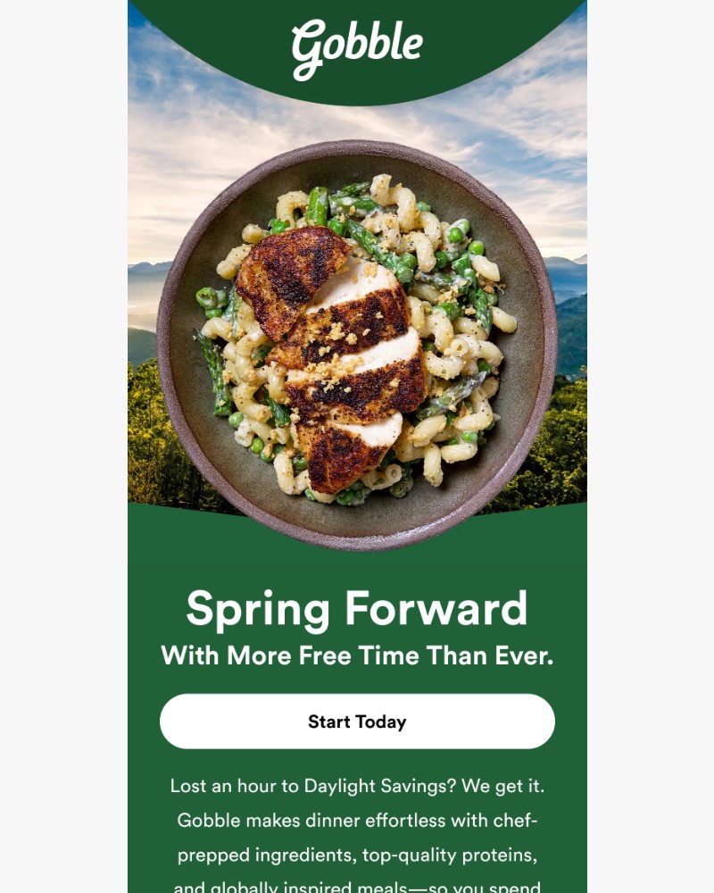 Screenshot of email sent to a Gobble Cart abandoner