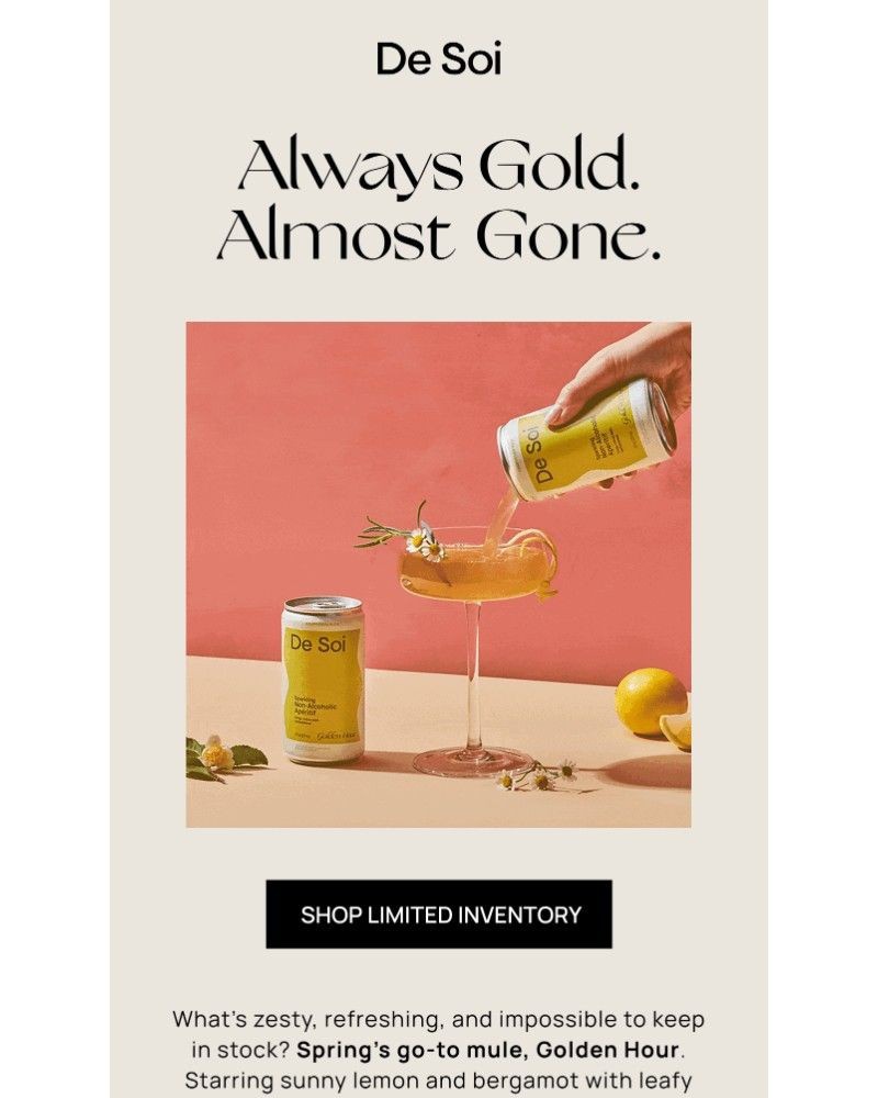 Screenshot of email sent to a De Soi Newsletter subscriber