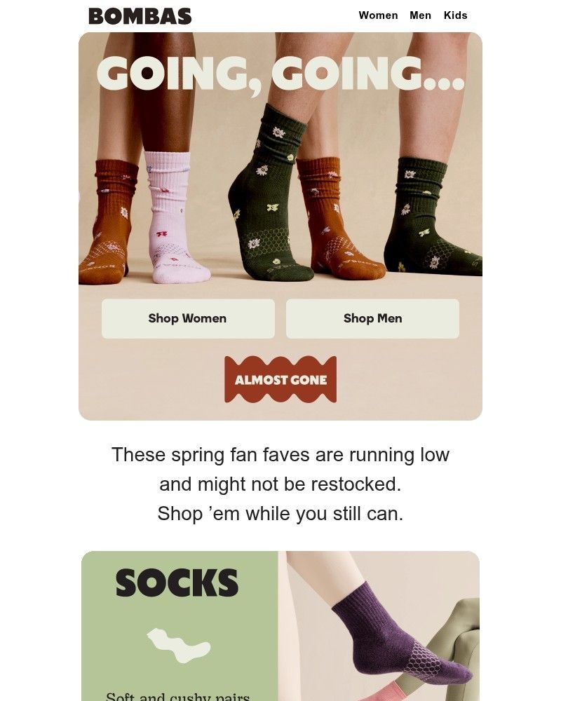 Screenshot of email with subject /media/emails/low-stock-alert-springs-hottest-styles-476d76-cropped-1d1124ed.jpg