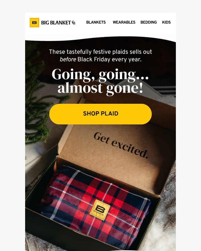 Screenshot of email with subject /media/emails/low-stock-holiday-plaid-fe4262-cropped-51b76d0b.jpg