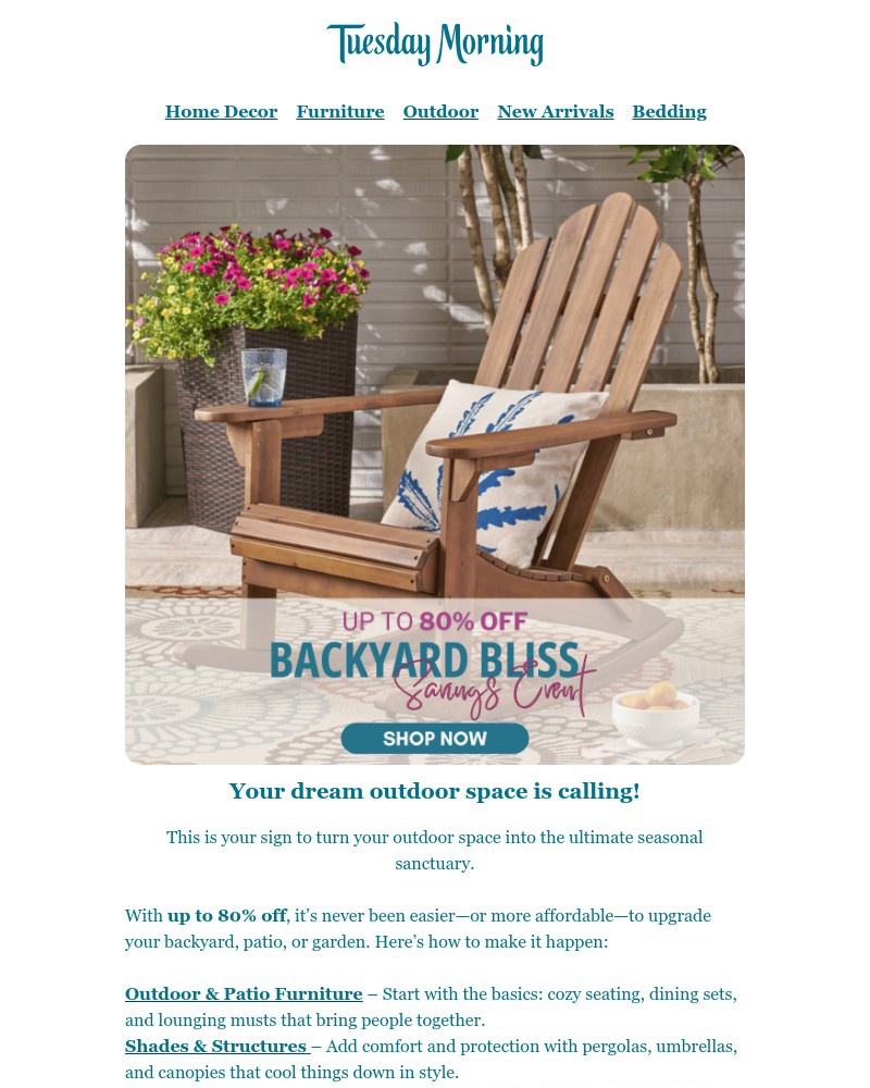 Screenshot of email with subject /media/emails/lowest-price-of-the-season-sunshine-savings-backyard-bliss-up-to-80-off-8af593-cr_APq5dOC.jpg