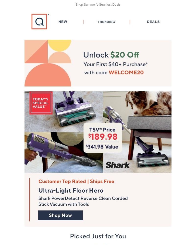 Screenshot of email with subject /media/emails/lowest-price-shark-powerdetect-vac-get-20-off-ddaf59-cropped-9942b067.jpg
