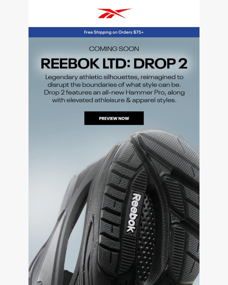 Screenshot of email with subject /media/emails/ltd-drop-2-is-coming-soon-d159a7-cropped-8bc596e3.jpg