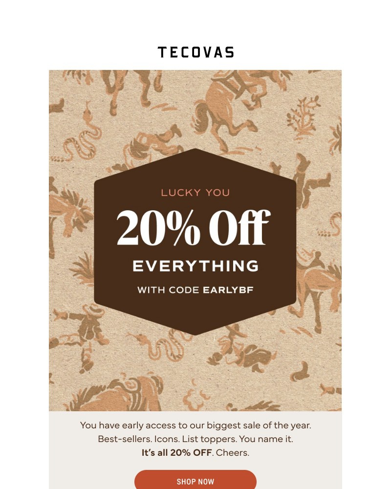 Screenshot of email sent to a Tecovas Newsletter subscriber