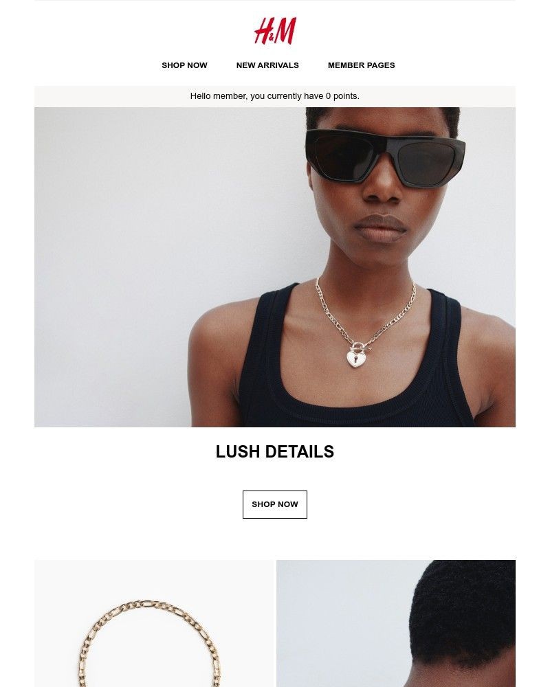 Screenshot of email with subject /media/emails/lush-details-461e09-cropped-8a9d3421.jpg