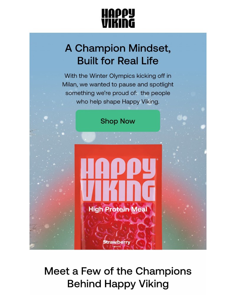 Screenshot of email sent to a Happy Viking Newsletter subscriber