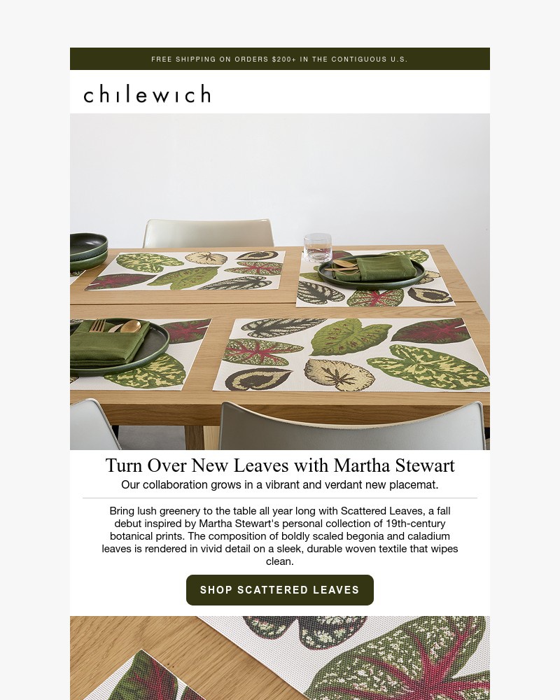 Screenshot of email with subject /media/emails/made-with-martha-stewart-scattered-leaves-de03f1-cropped-1420da29.jpg
