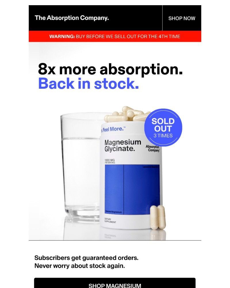 Screenshot of email sent to a The Absorption Company Newsletter subscriber