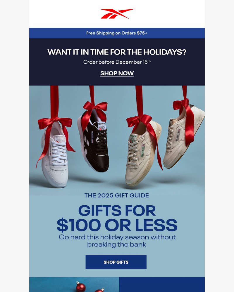 Screenshot of email sent to a Reebok Newsletter subscriber