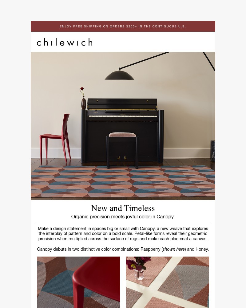 Screenshot of email with subject /media/emails/make-a-design-statement-with-canopy-d1cac2-cropped-9fea1040.jpg