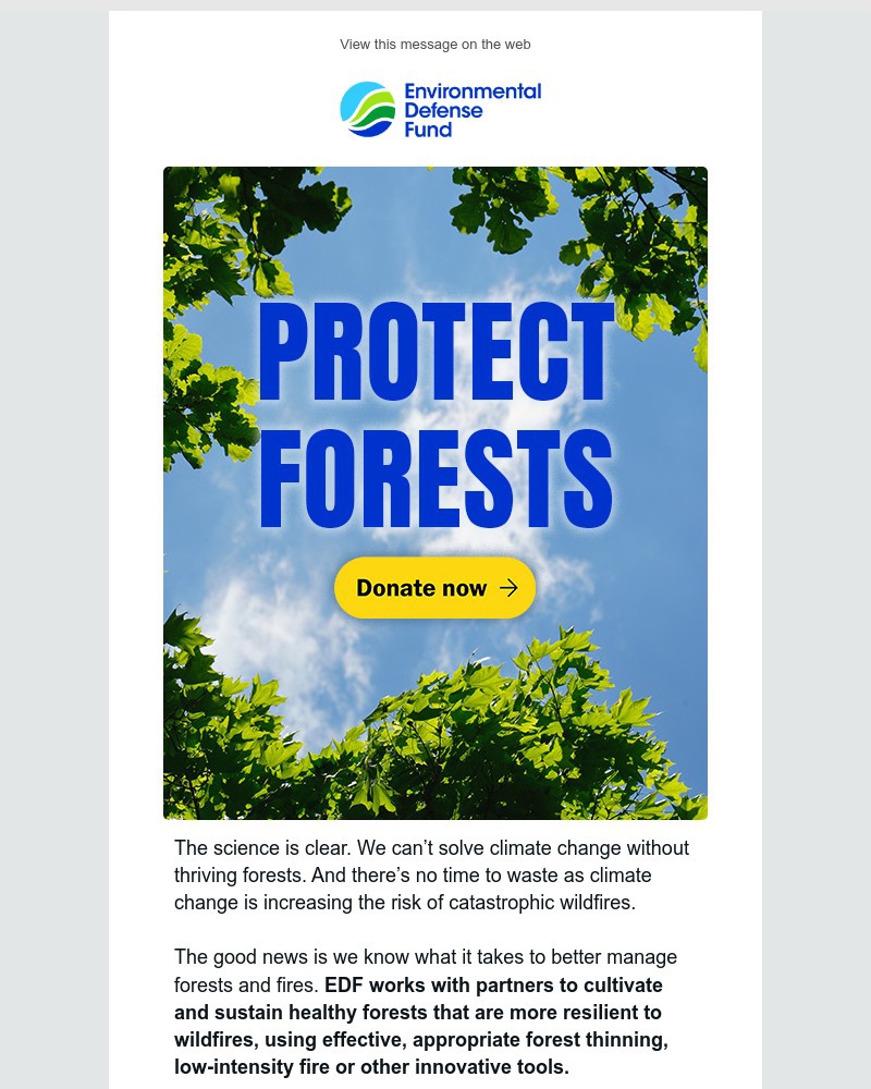 Screenshot of email with subject /media/emails/make-a-difference-for-thriving-forests-8b4da1-cropped-a94e0fb6.jpg