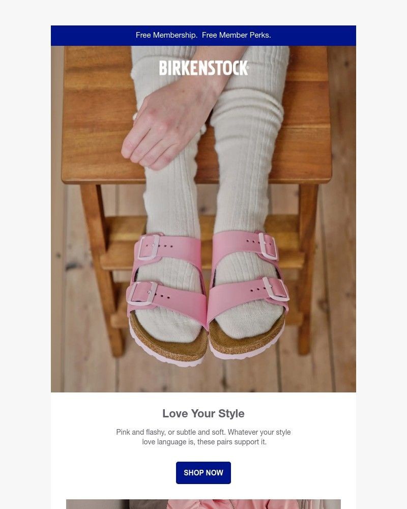 Screenshot of email with subject /media/emails/make-a-move-our-valentines-day-collection-isnt-forever-2f9df9-cropped-44b23cbc.jpg