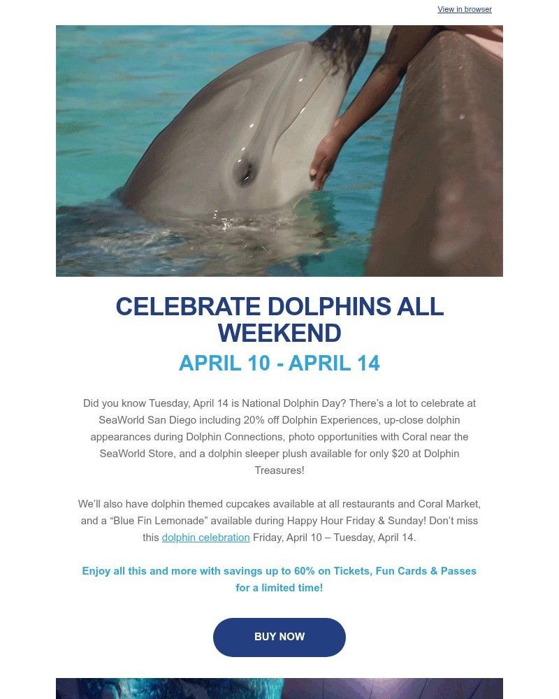 Screenshot of email with subject /media/emails/make-a-splash-this-national-dolphin-day-save-20-aa450a-cropped-baa91377.jpg