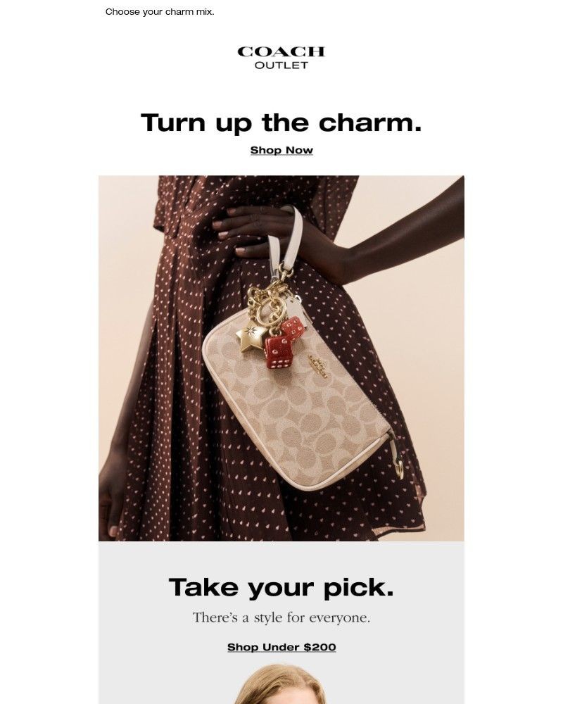 Screenshot of email with subject /media/emails/make-our-bag-distinctly-yours-55adb0-cropped-23f85251.jpg