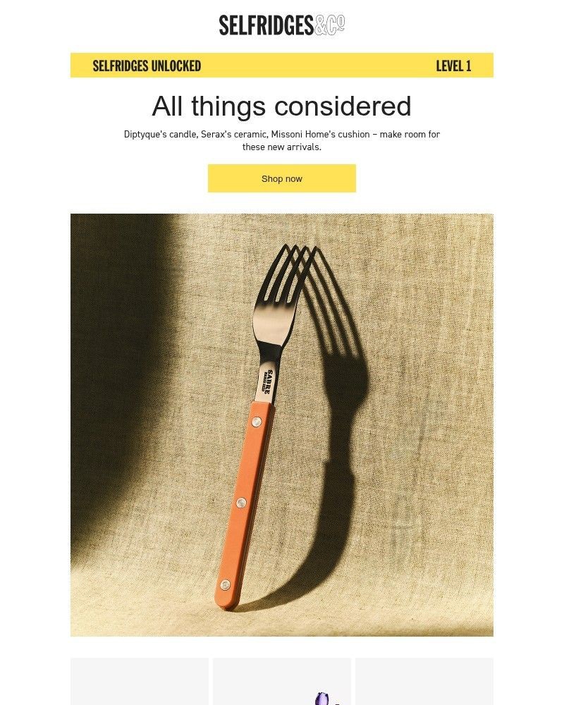 Screenshot of email sent to a Selfridges Newsletter subscriber