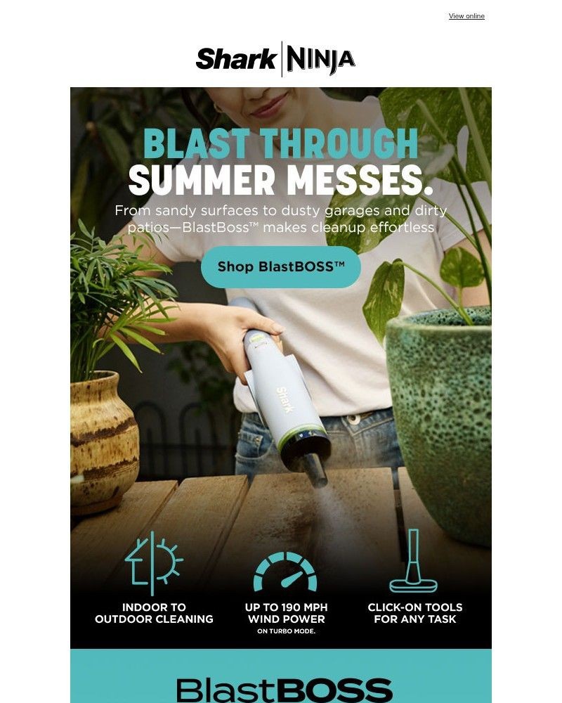 Screenshot of email with subject /media/emails/make-summer-a-blast-b8e6c3-cropped-88450f04.jpg