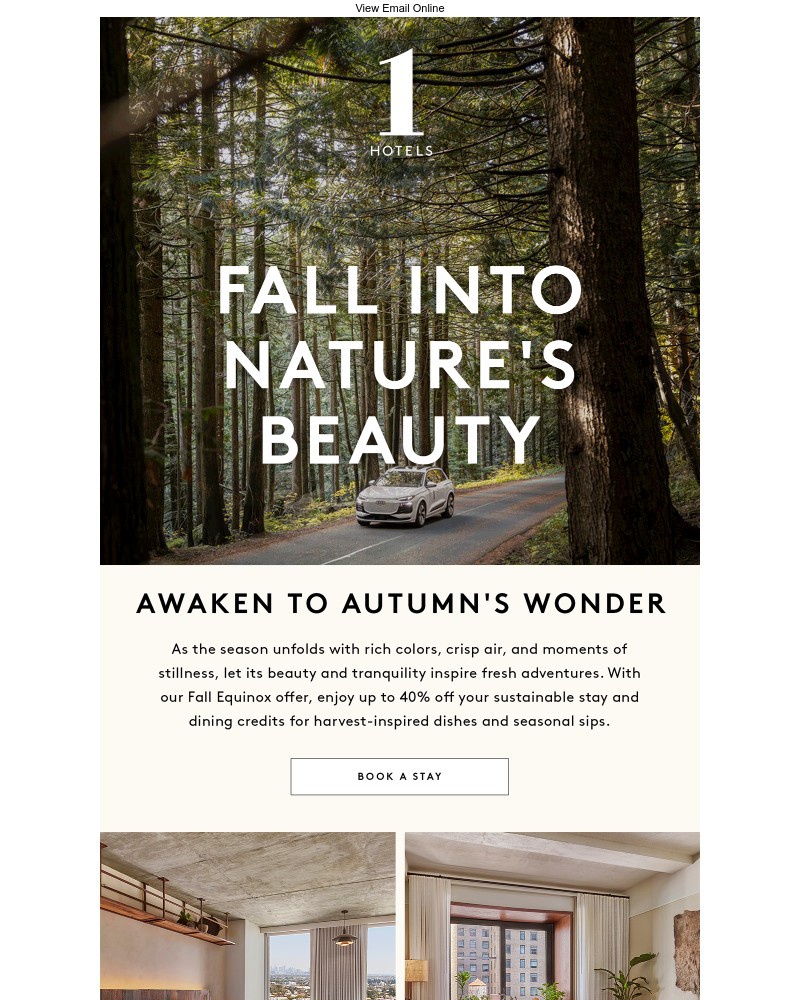 Screenshot of email sent to a 1 Hotels Newsletter subscriber