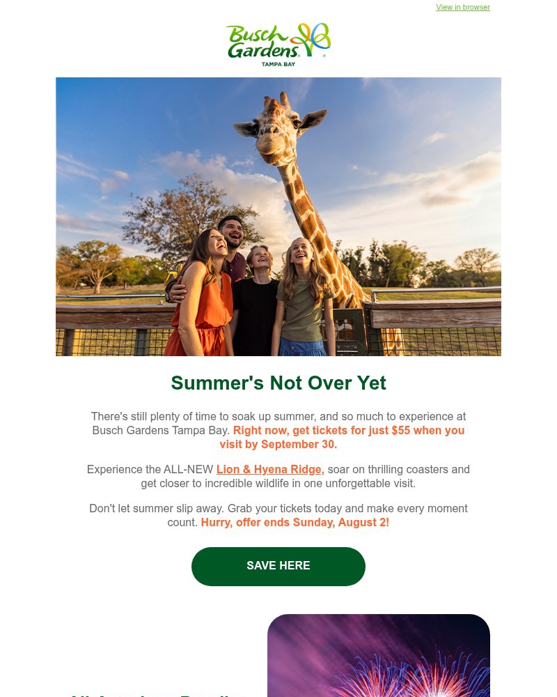 Screenshot of email with subject /media/emails/make-the-most-of-summer-with-55-any-day-tickets-9f1706-cropped-cde6d590.jpg