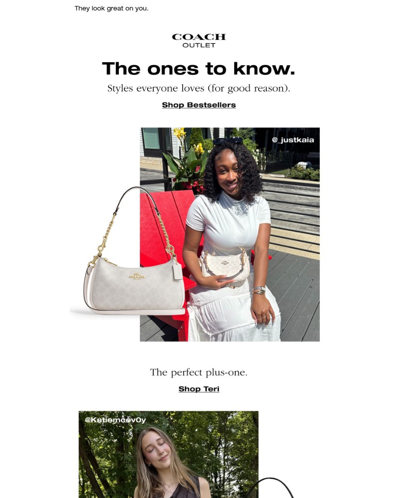 Screenshot of email with subject /media/emails/make-these-bestselling-bags-yours-f09577-cropped-fd872928.jpg