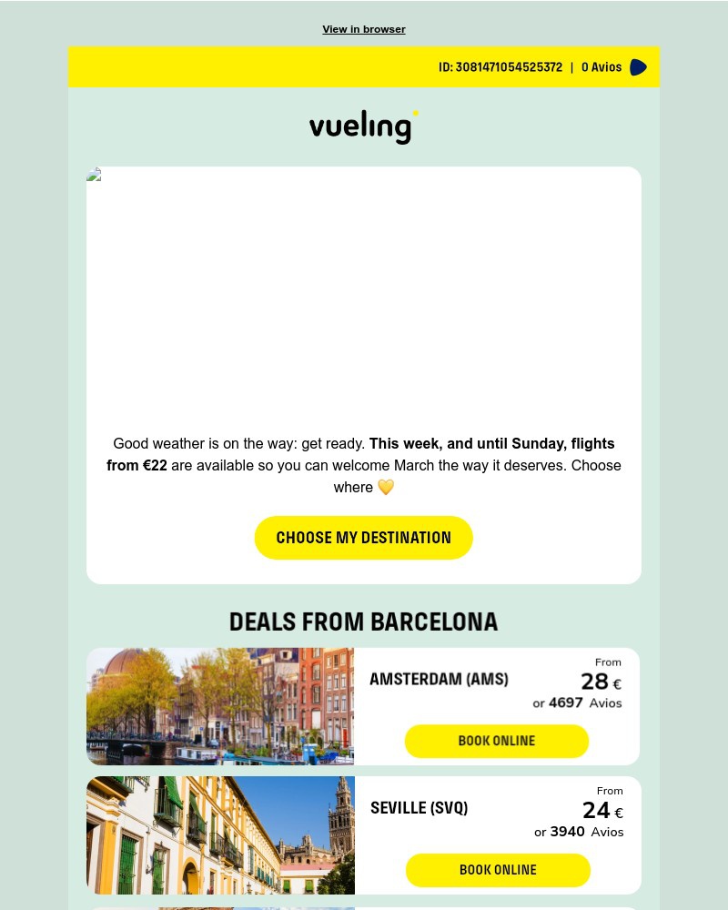 Screenshot of email sent to a Vueling Registered user