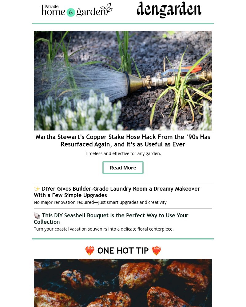 Screenshot of email with subject /media/emails/martha-stewarts-copper-stake-hose-hack-from-the-90s-has-resurfaced-again-and-its-_nCdbaZZ.jpg