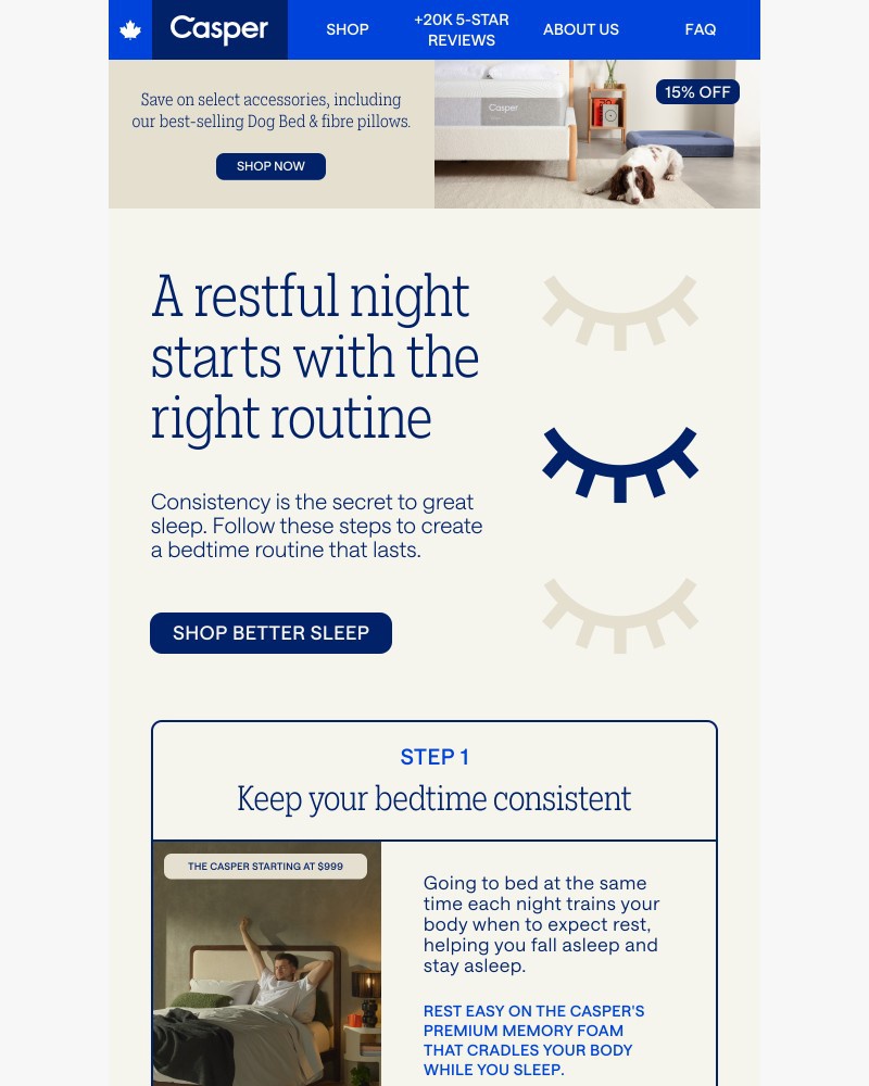 Screenshot of email with subject /media/emails/master-the-art-of-smart-sleep-c9d72d-cropped-bffa66a1.jpg