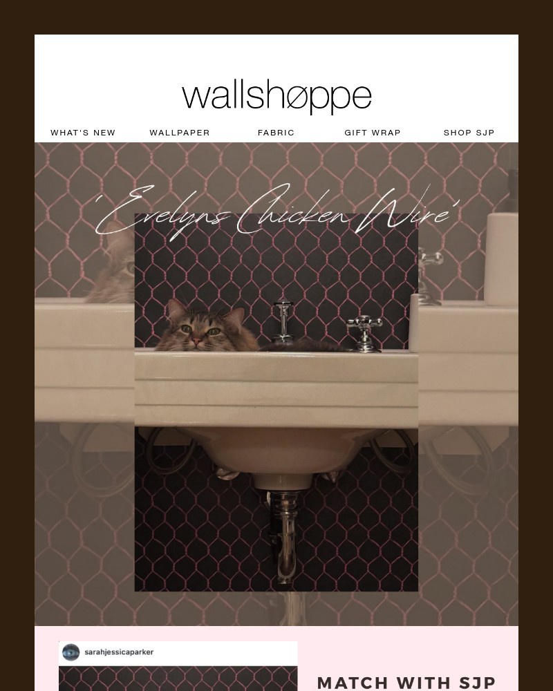 Screenshot of email with subject /media/emails/match-your-wallpaper-with-sjp-9043fd-cropped-5e35d6b1.jpg