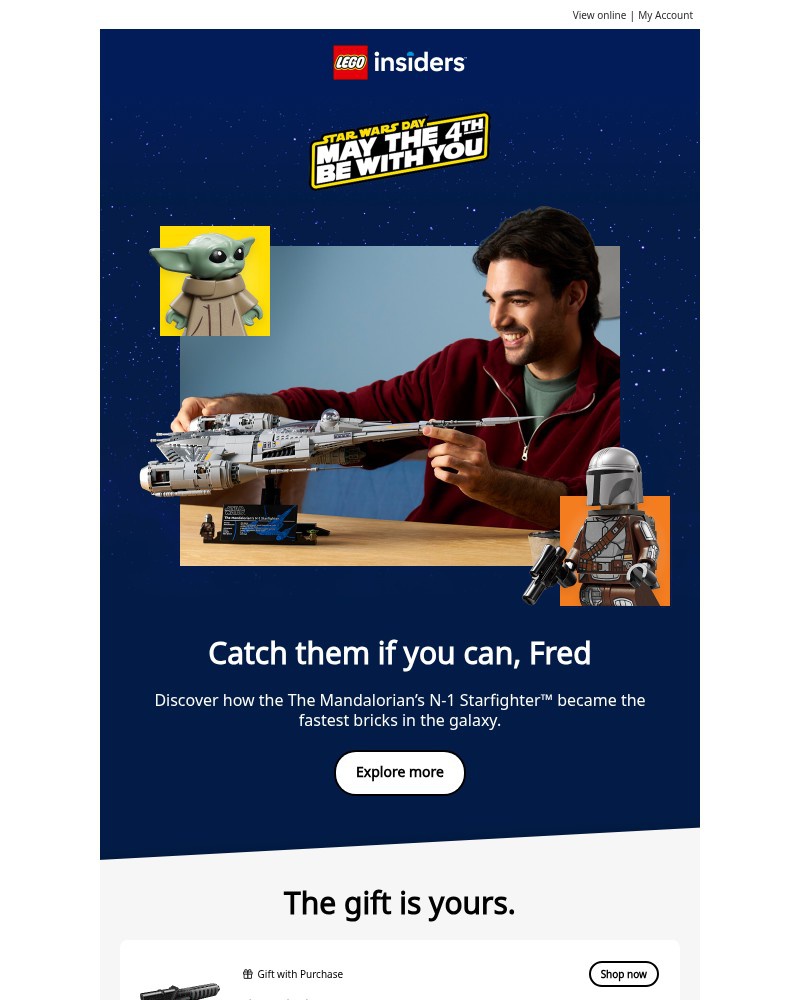 Screenshot of email sent to a Lego Registered user