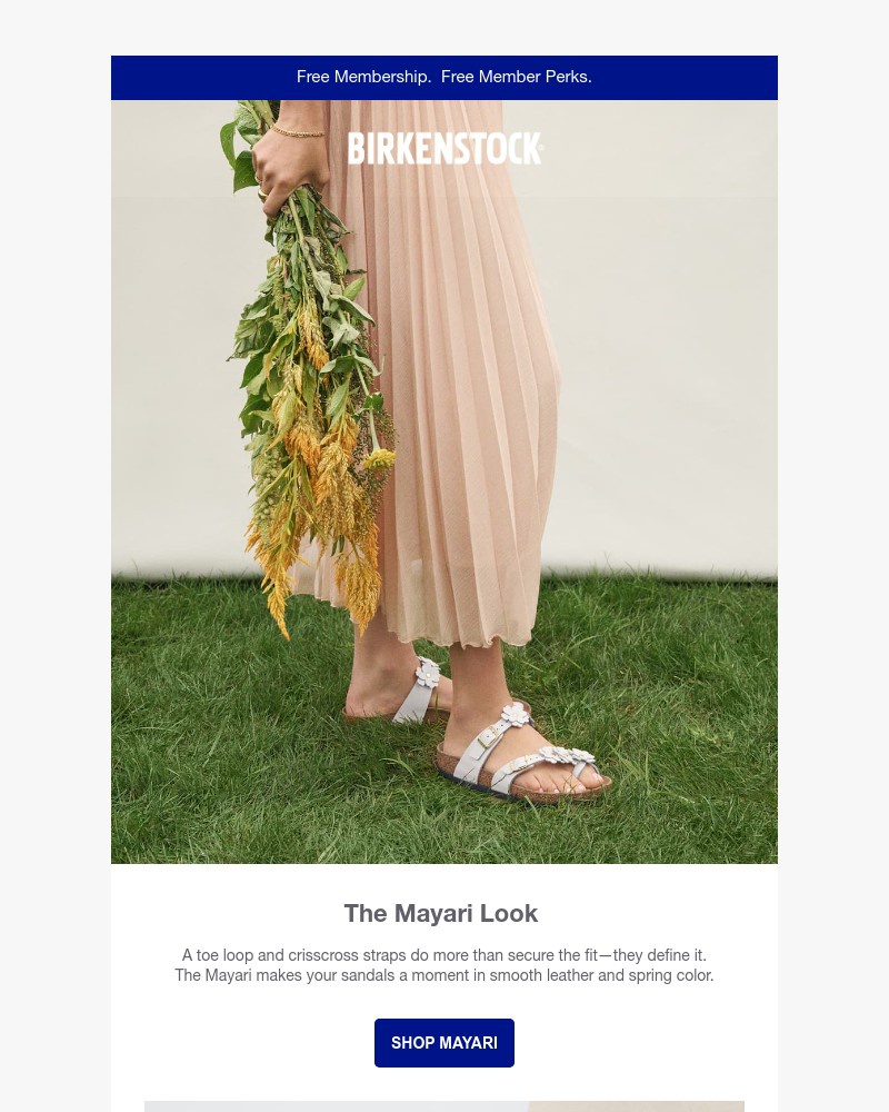 Screenshot of email with subject /media/emails/mayari-the-strappy-sandal-of-the-season-0434f3-cropped-810b853c.jpg