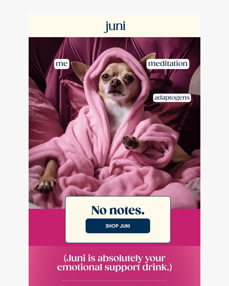 Screenshot of email with subject /media/emails/meditation-adaptogens-emotional-support-drink-we-said-what-we-said-be6e06-cropped_XAZbjPd.jpg