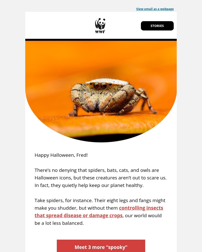 Screenshot of email sent to a World Wildlife Fund Newsletter subscriber