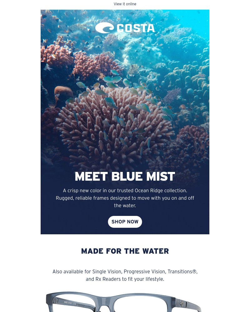 Screenshot of email with subject /media/emails/meet-blue-mist-e20dbe-cropped-41249fce.jpg