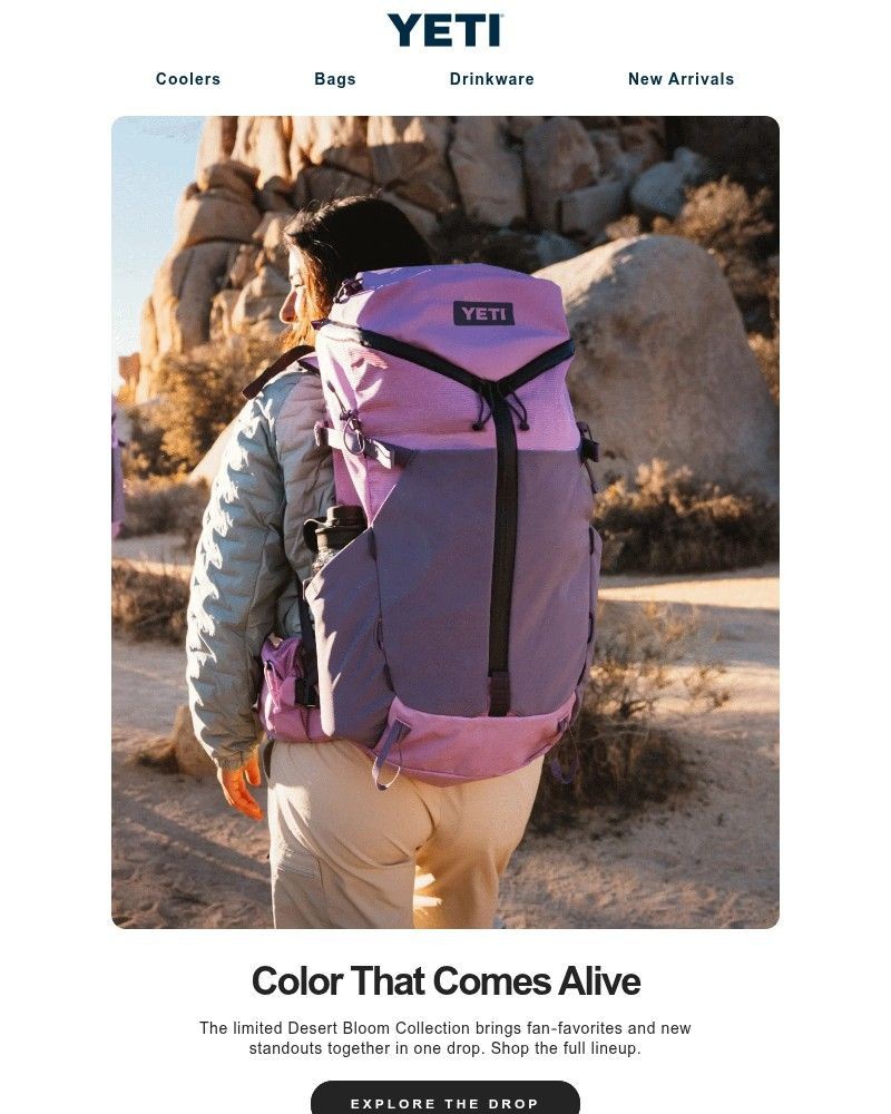 Screenshot of email with subject /media/emails/meet-desert-bloom-a-burst-of-life-across-arid-lands-1dd861-cropped-c442cd1b.jpg