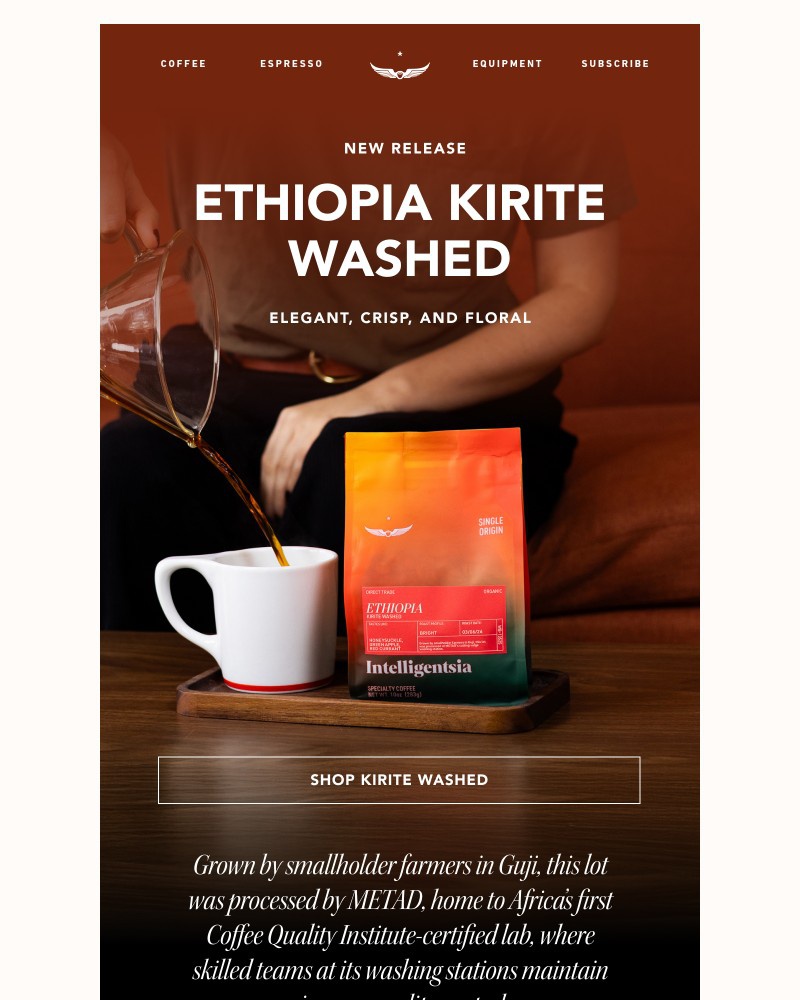 Screenshot of email sent to a Intelligentsia Newsletter subscriber