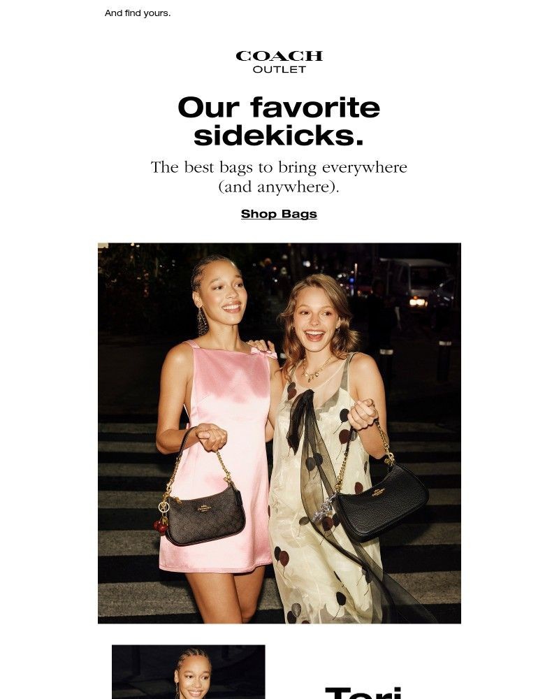 Screenshot of email with subject /media/emails/meet-our-favorite-sidekicks-29b1fd-cropped-e0d0d8dc.jpg