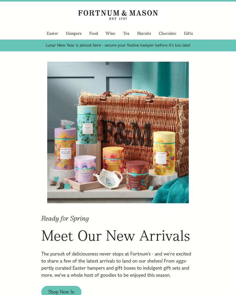 Screenshot of email with subject /media/emails/meet-our-latest-arrivals-e6abad-cropped-33686020.jpg