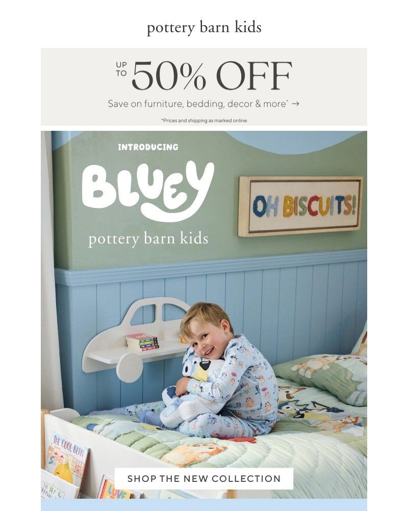 Screenshot of email with subject /media/emails/meet-our-new-bluey-collection-8d61cd-cropped-966ee0f7.jpg