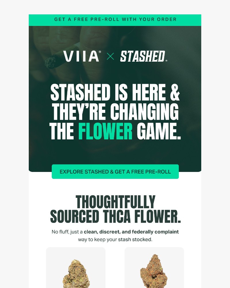 Screenshot of email with subject /media/emails/meet-our-new-sister-brand-stashed-f811c7-cropped-90567032.jpg