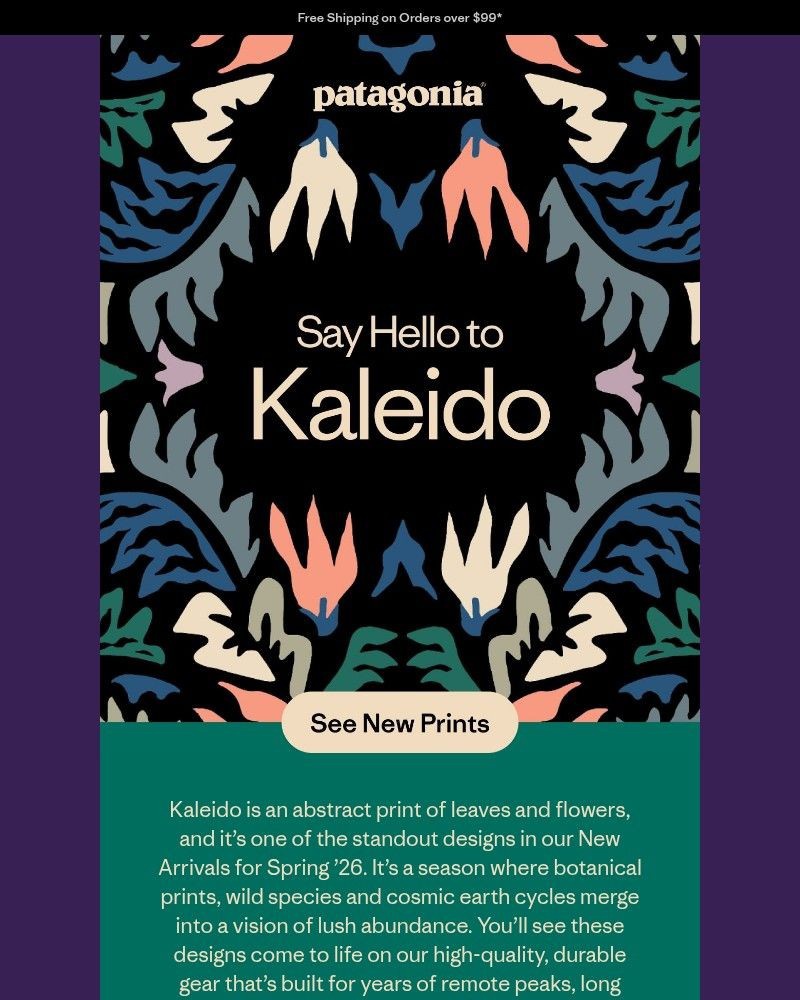 Screenshot of email sent to a Patagonia Newsletter subscriber