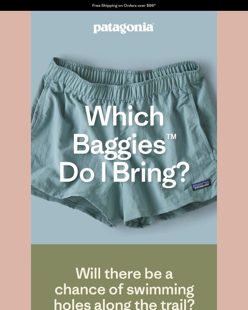 Screenshot of email sent to a Patagonia Newsletter subscriber