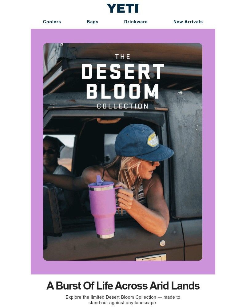 Screenshot of email with subject /media/emails/meet-the-desert-bloom-collection-8e2fa2-cropped-b6c416b7.jpg