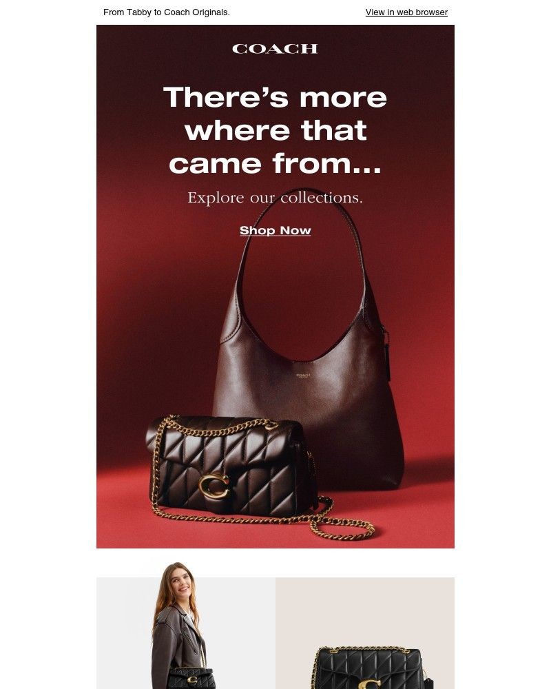 Screenshot of email with subject /media/emails/meet-the-families-f9172c-cropped-8ac1743b.jpg