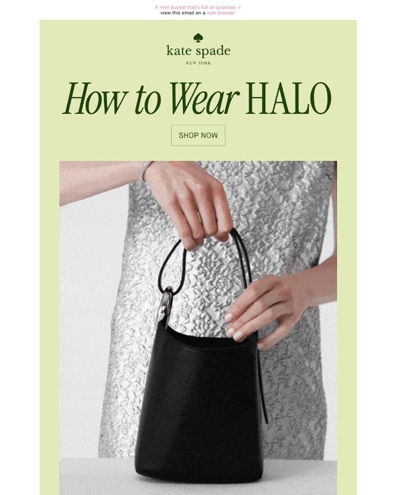 Screenshot of email with subject /media/emails/meet-the-halo-bag-44831a-cropped-a2dc2372.jpg