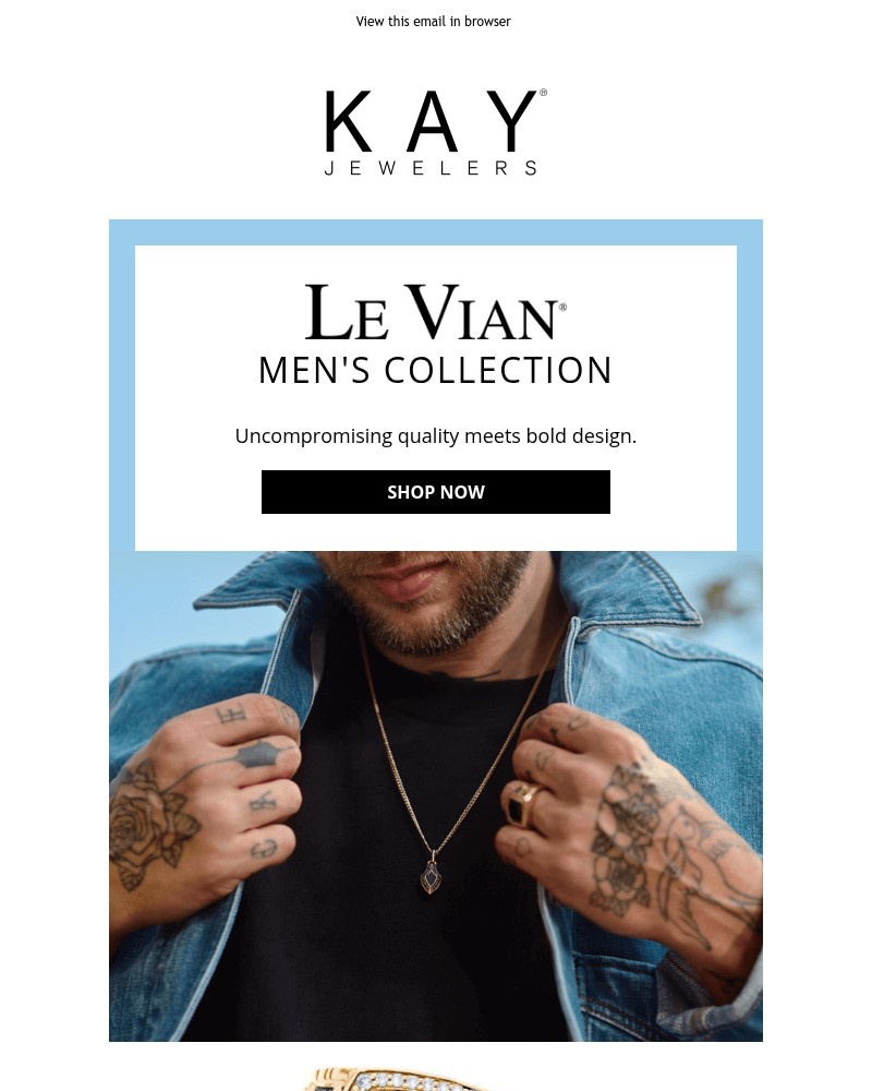 Screenshot of email with subject /media/emails/meet-the-le-vian-mens-collection-fb1437-cropped-75a14c73.jpg