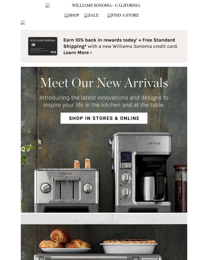 Screenshot of email with subject /media/emails/meet-the-lotus-professional-series-collection-more-new-arrivals-just-landed-39a67_b41HYqi.jpg