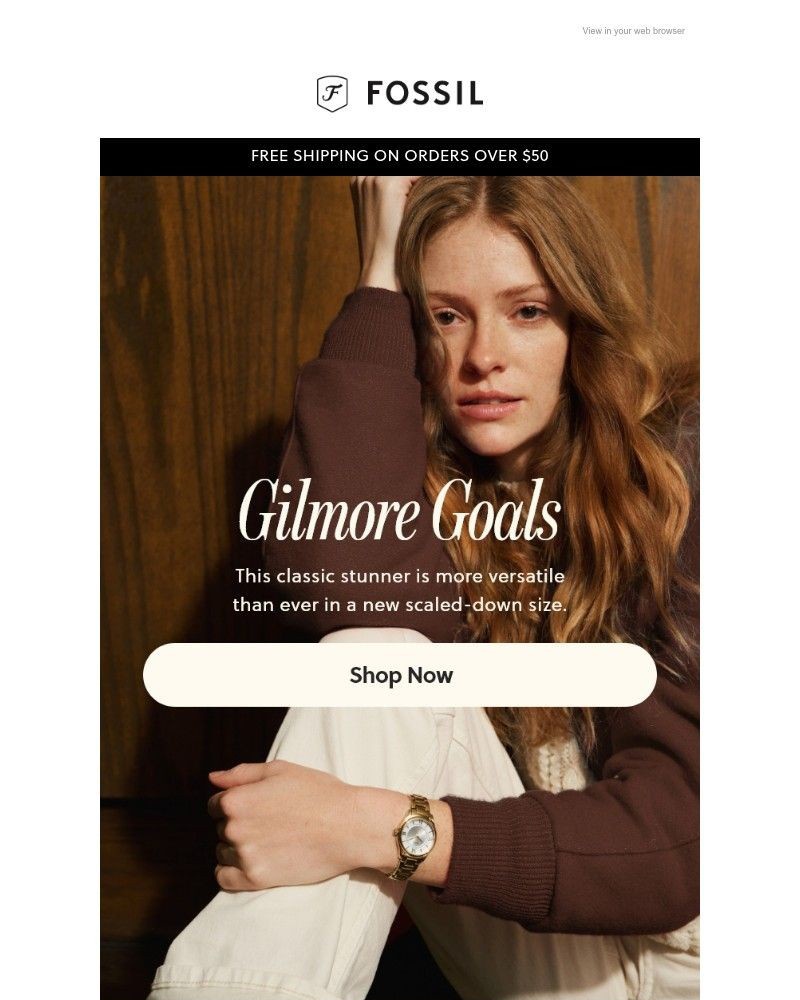 Screenshot of email with subject /media/emails/meet-the-mini-gilmore-04a006-cropped-517dc8c8.jpg