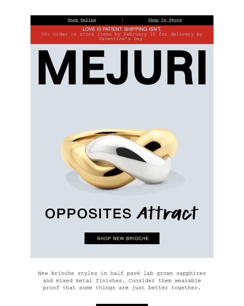 Screenshot of email sent to a Mejuri Registered user