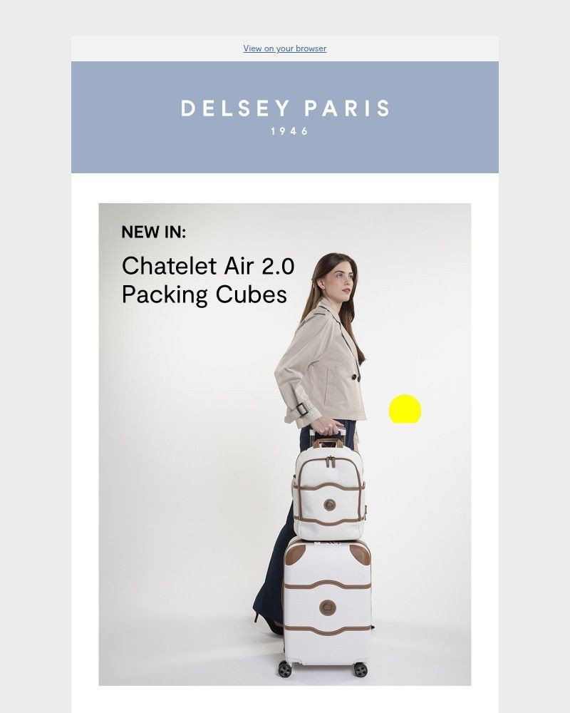 Screenshot of email sent to a Delsey Paris Newsletter subscriber