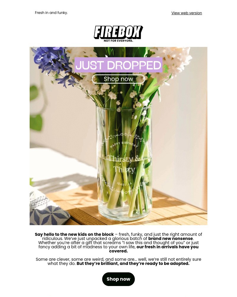 Screenshot of email with subject /media/emails/meet-the-new-kids-on-the-block-a60364-cropped-188944c6.jpg