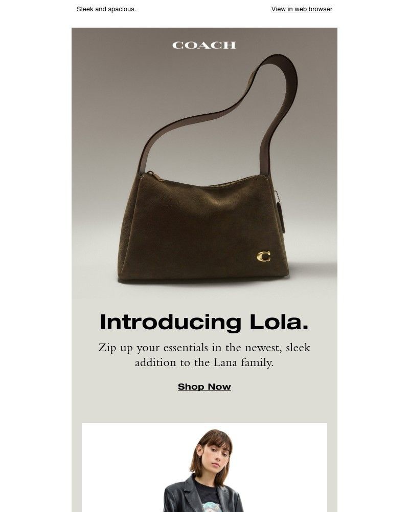 Screenshot of email with subject /media/emails/meet-the-new-lola-bag-ecf019-cropped-a146db55.jpg